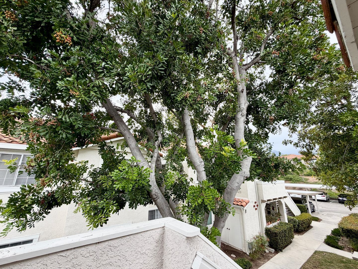 Spacious 1 Bedroom 1 Bath property image
