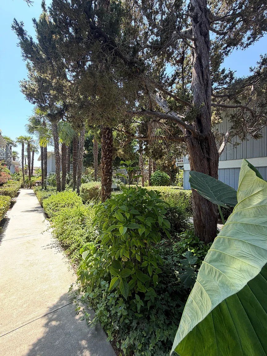 2 Bed, 1.5 Bathroom Property In Fullerton property image