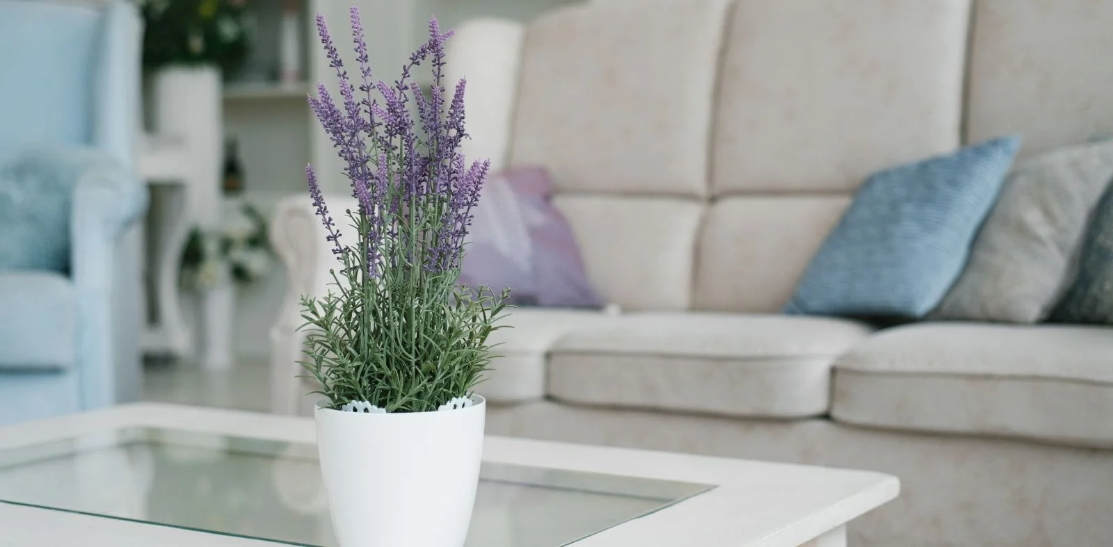 El Dorado Park Property Management