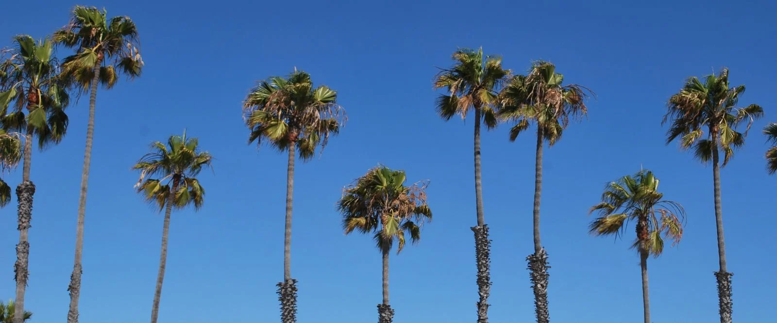 Los Alamitos Property Management